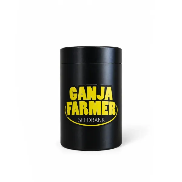 Container